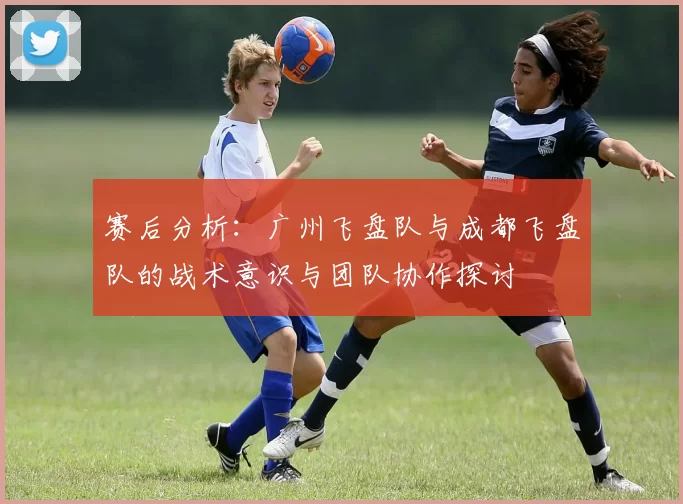 赛后分析：广州飞盘队与成都飞盘队的战术意识与团队协作探讨
