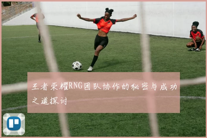 王者荣耀RNG团队协作的秘密与成功之道探讨