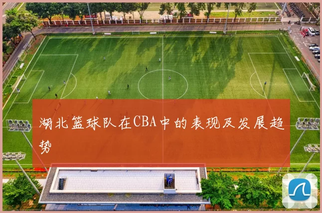 湖北篮球队在CBA中的表现及发展趋势
