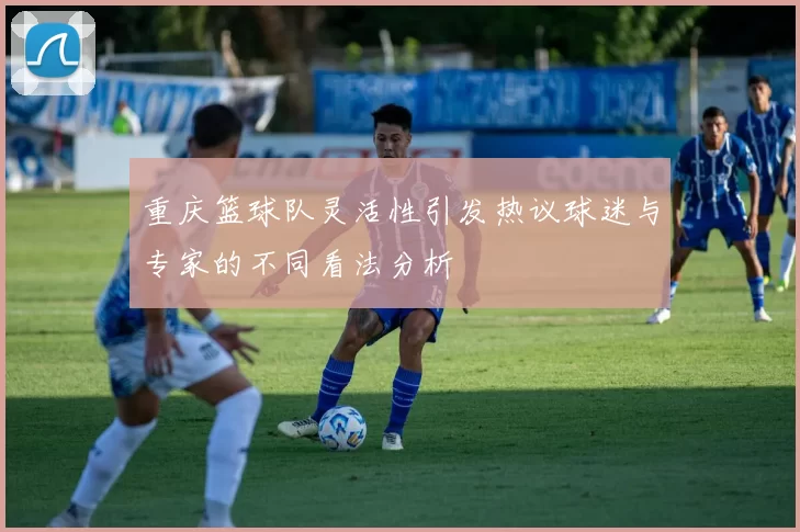 重庆篮球队灵活性引发热议球迷与专家的不同看法分析