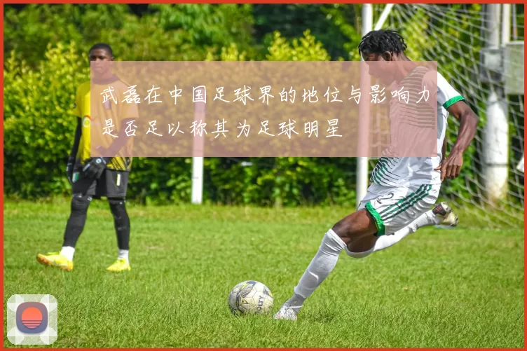 武磊在中国足球界的地位与影响力是否足以称其为足球明星