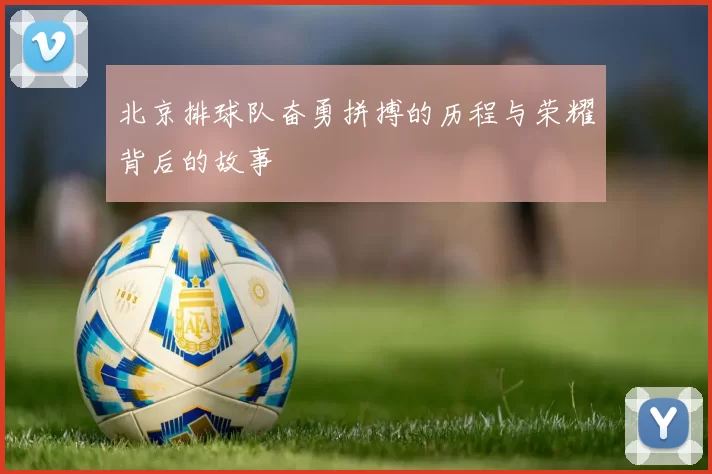 北京排球队奋勇拼搏的历程与荣耀背后的故事