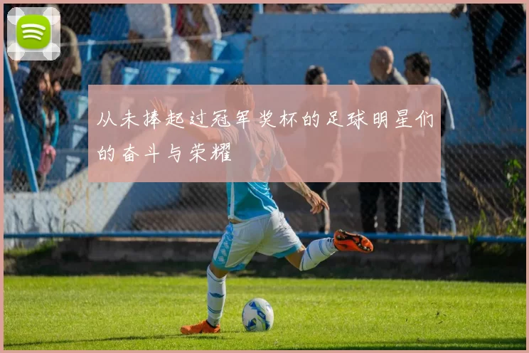 从未捧起过冠军奖杯的足球明星们的奋斗与荣耀