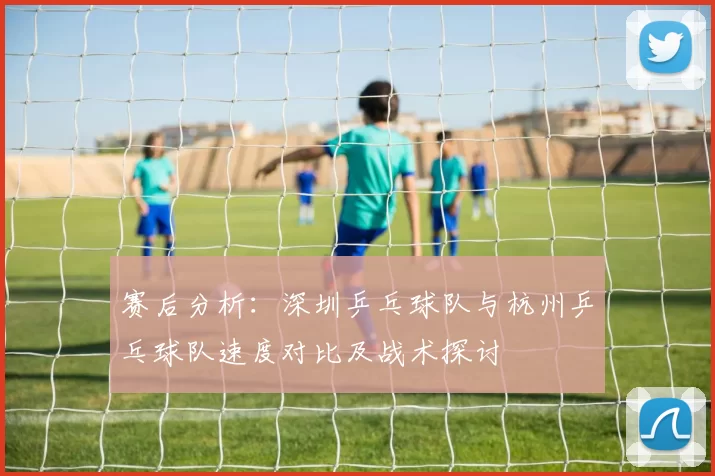 赛后分析：深圳乒乓球队与杭州乒乓球队速度对比及战术探讨