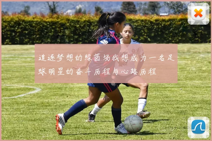 追逐梦想的绿茵场我想成为一名足球明星的奋斗历程与心路历程