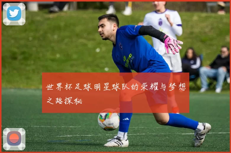 世界杯足球明星球队的荣耀与梦想之路探秘