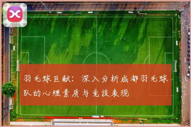 羽毛球巨献：深入分析成都羽毛球队的心理素质与竞技表现