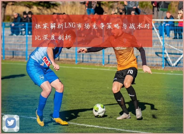 独家解析LNG市场竞争策略与战术对比深度剖析