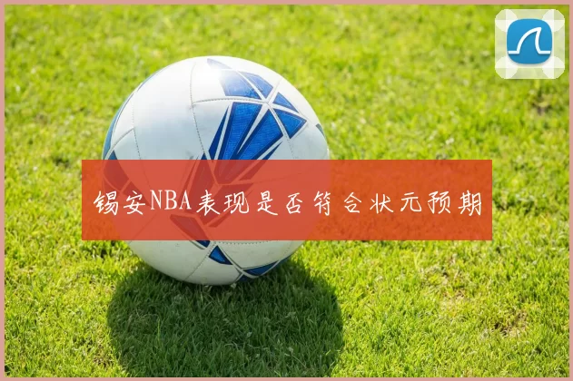 锡安NBA表现是否符合状元预期