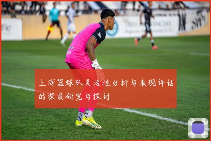 上海篮球队灵活性分析与表现评估的深度研究与探讨