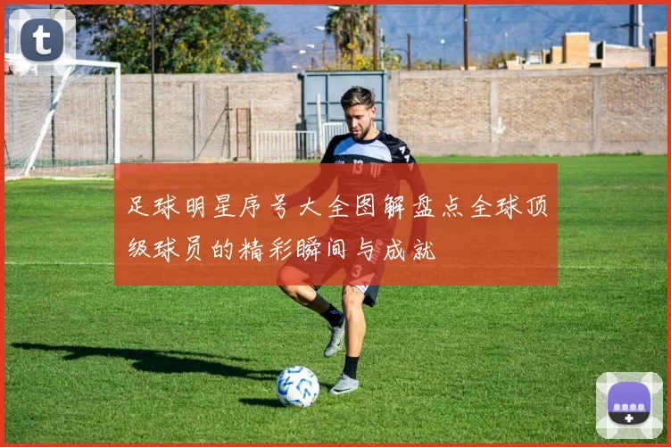 足球明星序号大全图解盘点全球顶级球员的精彩瞬间与成就
