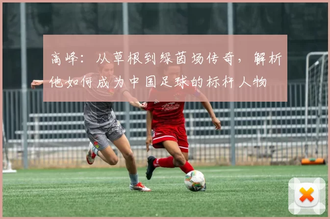 高峰：从草根到绿茵场传奇，解析他如何成为中国足球的标杆人物