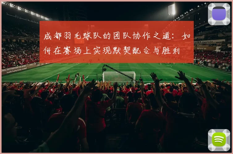 成都羽毛球队的团队协作之道：如何在赛场上实现默契配合与胜利